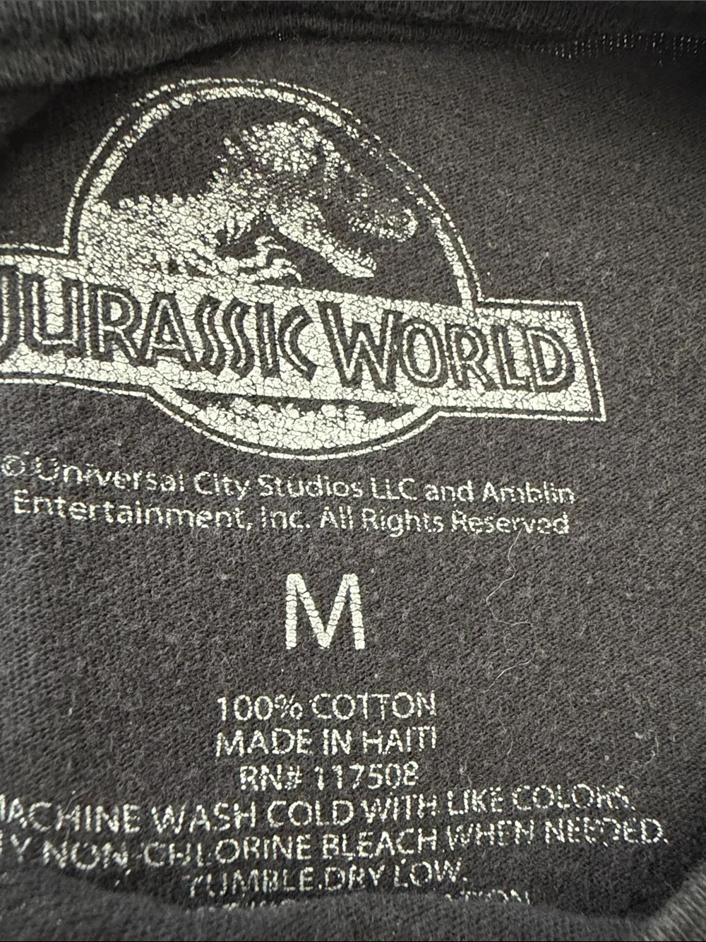 Kids Jurassic World Graphic Tee - Black size M